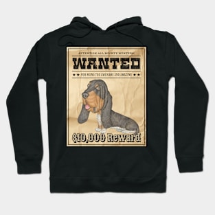 Cute Funny Basset Hound Wanted Poster Hoodie